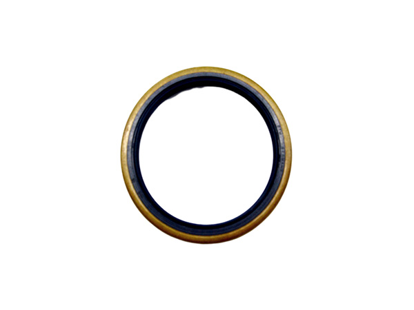 PTFE不銹鋼旋轉(zhuǎn)密封件